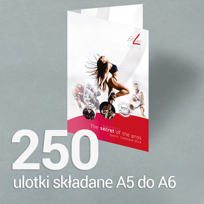 250 Ulotka A5 składana do A6 Gloss/Silk 250 Ulotka A5 składana do A6 Gloss/Silk