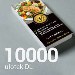 10000 Ulotka DL Gloss/Silk 10000 Ulotka DL Gloss/Silk