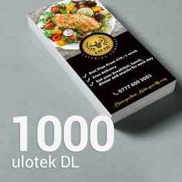 1000 Ulotka DL Gloss/Silk 1000 Ulotka DL Gloss/Silk