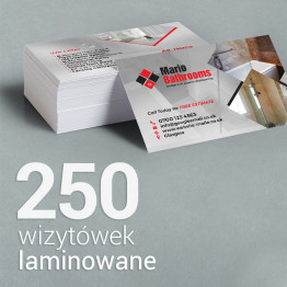 250 Wizytówki matowe laminowane 250 Wizytówki matowe laminowane