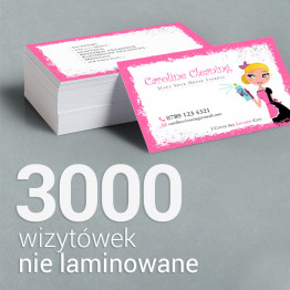 3000 Wizytówki premium, nie laminowane 3000 Wizytówki premium, nie laminowane