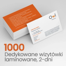 1000 Wizytówki dla OWL Financial 1000 Wizytówki dla OWL Financial