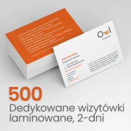 500 Wizytówki dla OWL Financial 500 Wizytówki dla OWL Financial